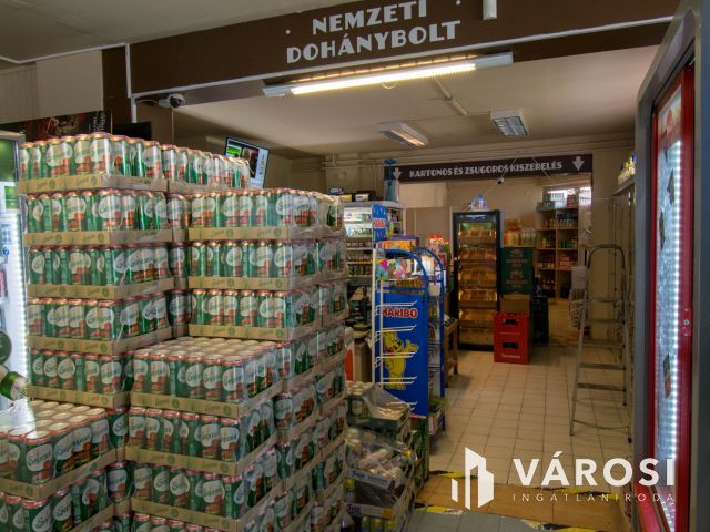 Lakás és üzlethelyiség eladó Kalocsán!