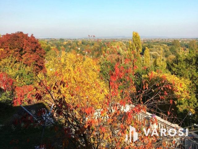 Nagypolgári villa parkosított kerttel, Dunai panorámával