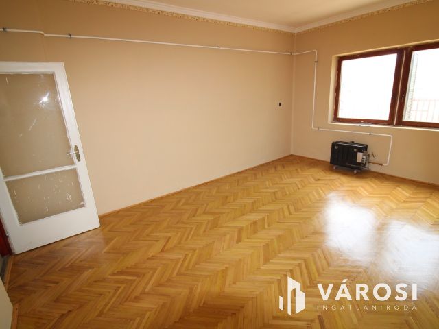 Családi ház nagy telekkel.