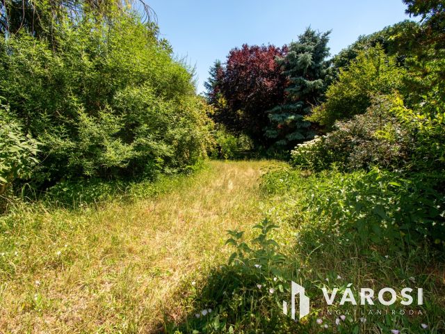 Komárom, Új Monostori hídnál 2160 m²-es GKSZ telek eladó