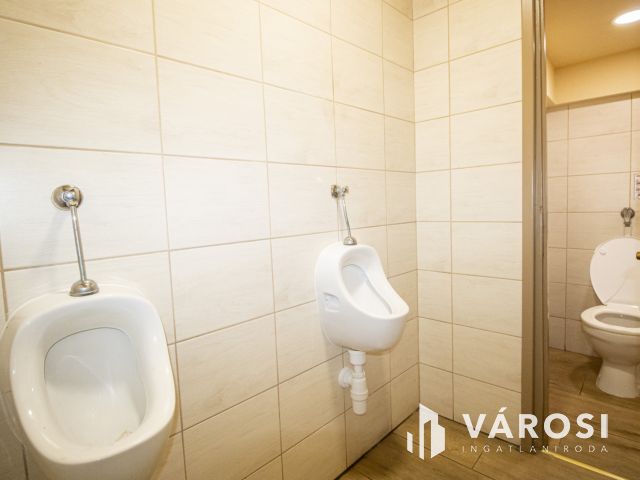 Nagycsalád? Vállalkozás? Békéscsabán